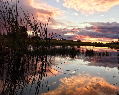 Madigan Wine Country Cottages - Accommodation QLD 16