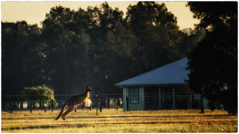 Madigan Wine Country Cottages - Accommodation QLD 5