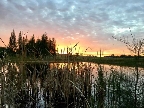 Madigan Wine Country Cottages - Accommodation QLD 14