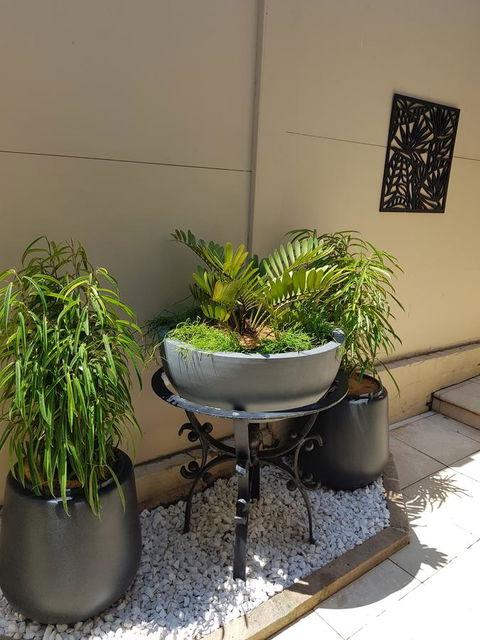 Private Room - Luxury Mosman Home - Accommodation QLD 33