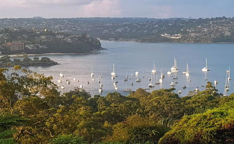 Private Room - Luxury Mosman Home - Accommodation QLD 3