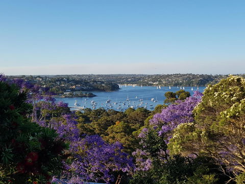 Private Room - Luxury Mosman Home - Accommodation QLD 1