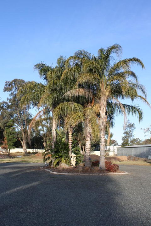 Temora Motel - Accommodation QLD 6