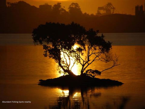 Fern Bay Motel - Accommodation QLD 38