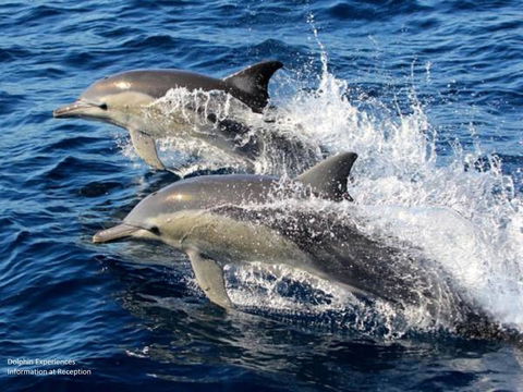 Fern Bay Motel - Accommodation QLD 39