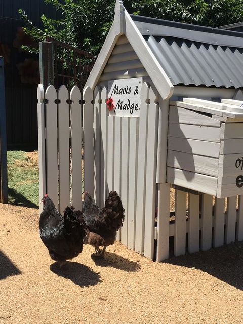 Thelma's Temora - Accommodation QLD 12