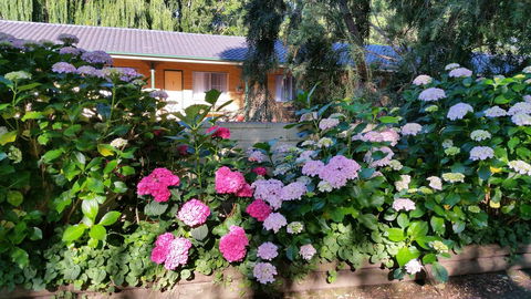 Moruya Motel - Accommodation QLD 28