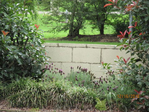 Moruya Motel - Accommodation QLD 16
