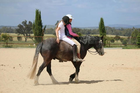 Belisi Farmstay Cottage - Accommodation QLD 28