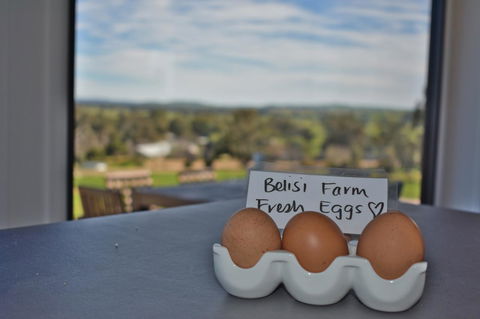 Belisi Farmstay Cottage - Accommodation QLD 20