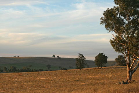 Belisi Farmstay Cottage - Accommodation QLD 33