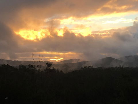 OceanScape Luxury Beachfront Villas - Accommodation QLD 14