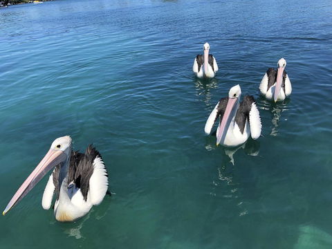 Aquarius 9 - Accommodation QLD 4
