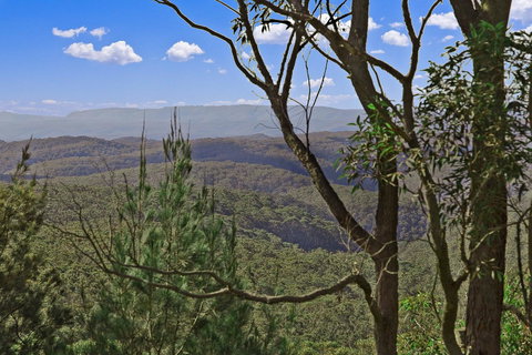 Mountainside B & B - Accommodation QLD 9