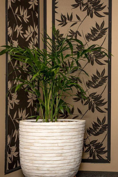 Mountainside B & B - Accommodation QLD 30