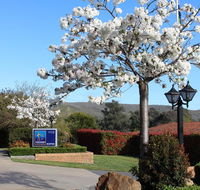 Hume Country Motor Inn - Accommodation QLD
