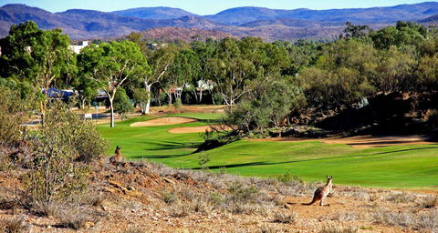 Desert Palms Alice Springs - Accommodation QLD 30