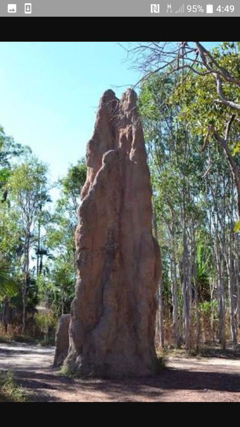 'Tropical Oasis - Darwin NT - Accommodation QLD 31