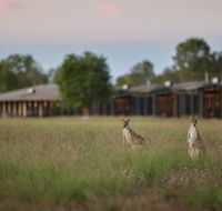 Wildman Wilderness Lodge - Accommodation QLD