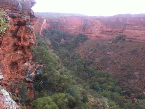 Discovery Resorts - Kings Canyon - Accommodation QLD 34