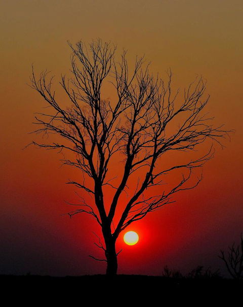 Discovery Resorts - Kings Canyon - Accommodation QLD 43