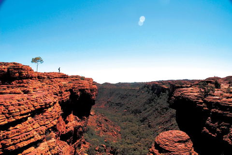 Discovery Resorts - Kings Canyon - Accommodation QLD 38