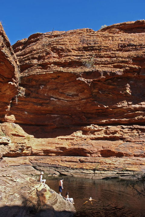 Discovery Resorts - Kings Canyon - Accommodation QLD 44