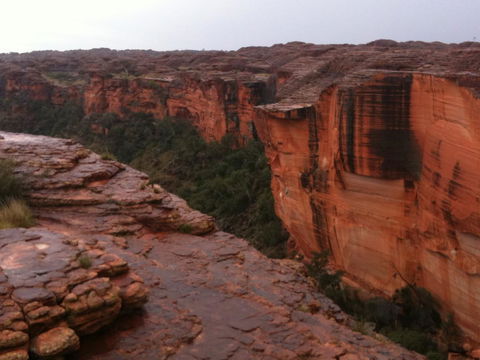 Discovery Resorts - Kings Canyon - Accommodation QLD 35