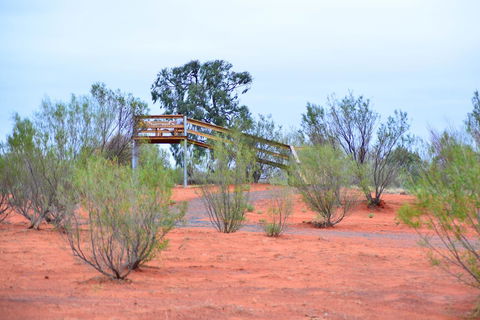 Erldunda Desert Oaks Resort - Accommodation QLD 42