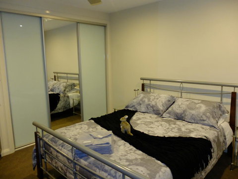 Rock Wallaby - Accommodation QLD 14