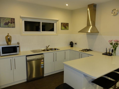 Rock Wallaby - Accommodation QLD 12