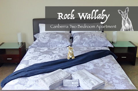 Rock Wallaby - Accommodation QLD 4