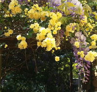 Bowral Road Bed and Breakfast - Accommodation QLD