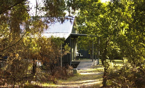 Brodribb River Rainforest Cabins - Cabin 1 - Accommodation QLD 2