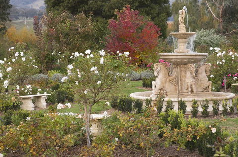 Brookfield Guest House - Accommodation QLD 1