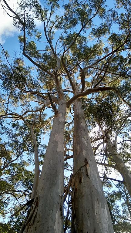 Broxholme B&B - Accommodation QLD 3