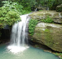 Buderim Forest Hideaway - Accommodation QLD