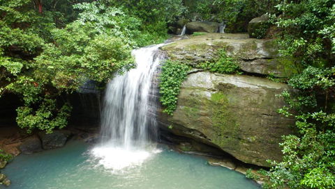Buderim Forest Hideaway - Accommodation QLD 0