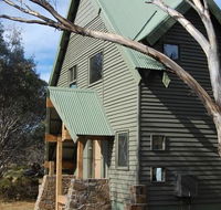 Buffalo - Accommodation QLD