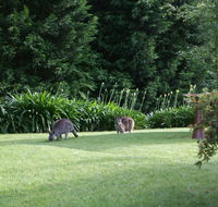 Bundanoon 2578 - Accommodation QLD