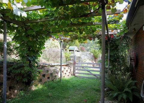 Bushy Park Retreat - Accommodation QLD 3