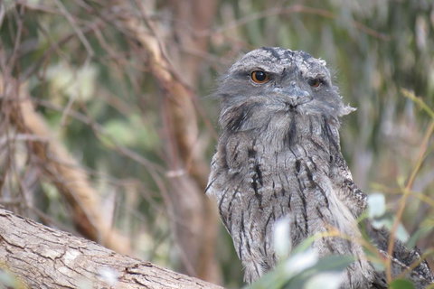 Butterworth Accommodation - Accommodation QLD 1