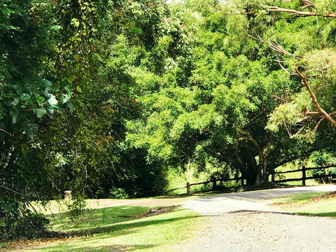 Cadaghi Cottage - Accommodation QLD 0