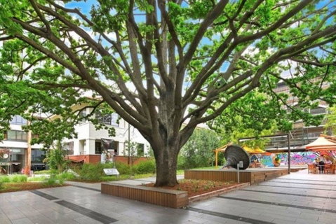 Canberra Luxury Apartment 8 - Accommodation QLD 1