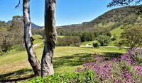 Book Capertee Accommodation Vacations Accommodation QLD Accommodation QLD