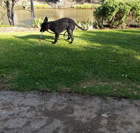 Captain's Cottage Bed  Breakfast - Accommodation QLD