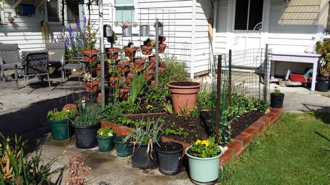 Carisbrook Cottage Queenscliff - Accommodation QLD 1