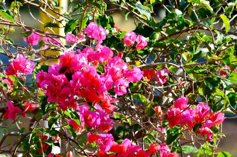 Caves Road Chalets - Accommodation QLD 1