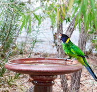 Caves Road Chalets - Accommodation QLD