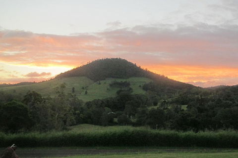 CBR Equine Cottage - Accommodation QLD 1